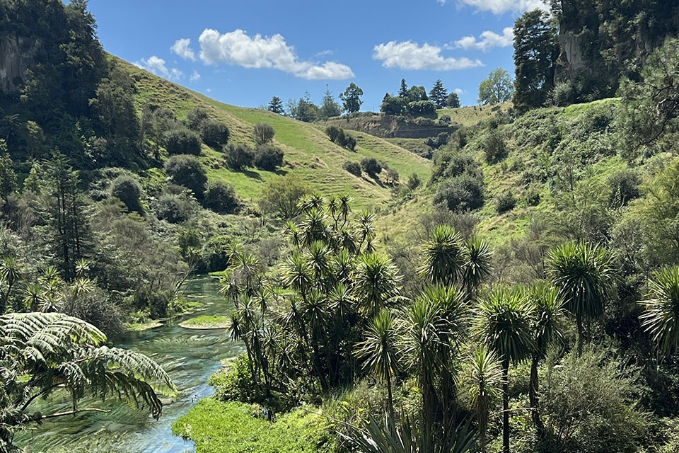 A beautiful view of a valley in New Zealand