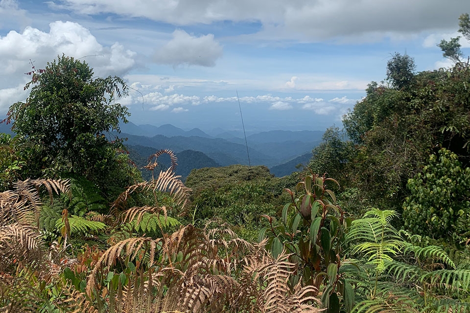 A view from the Singapore Coast to Coast Trail