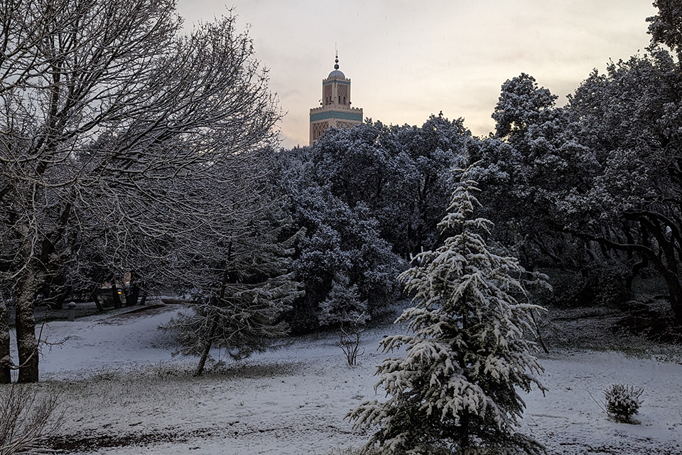 Romi Zebian's Photo in Ifrane, Morocco