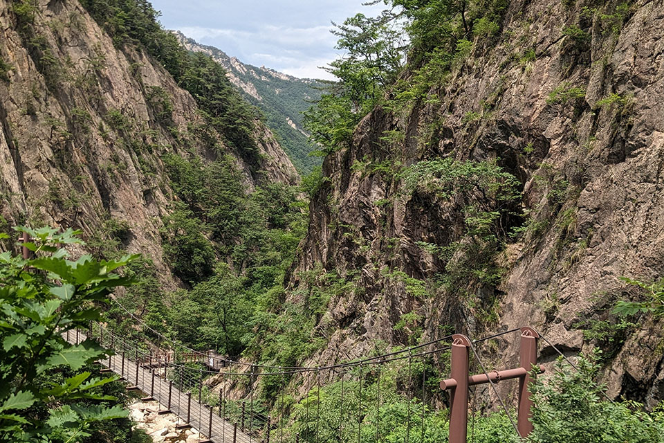 The hanging bridge in Seoraksan National Park
