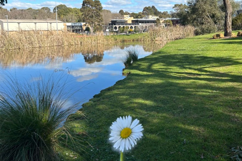 A view from the campus of Deakin University