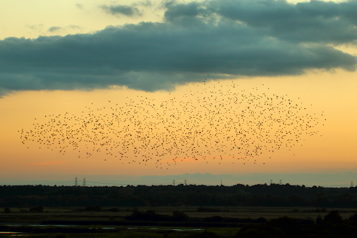 The Black Sun, Copenhagen, Denmark