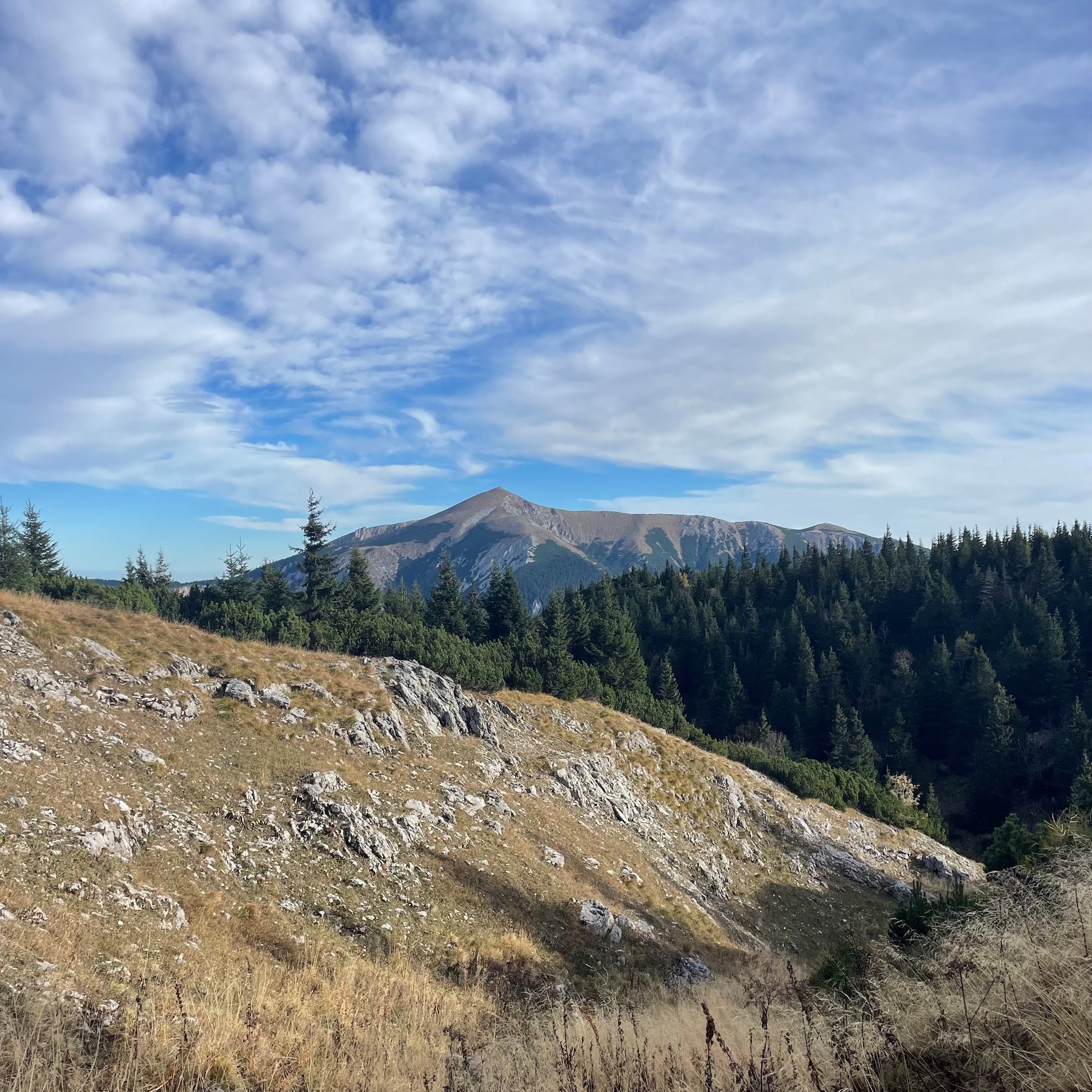 Australian Alps landscape