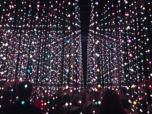 Signal Festival, Prague, Czechia