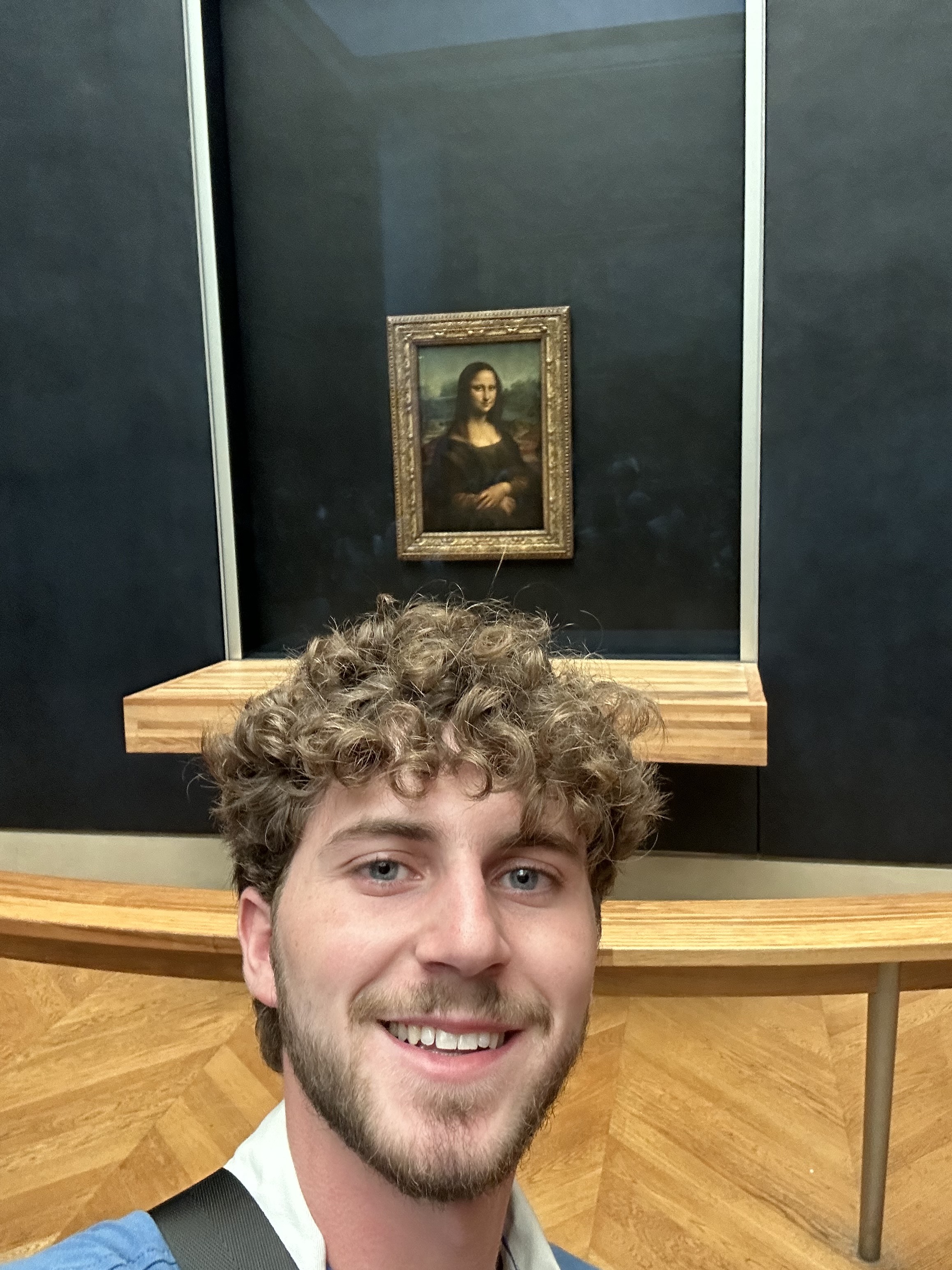 Stephen Shaw and the Mona Lisa painting