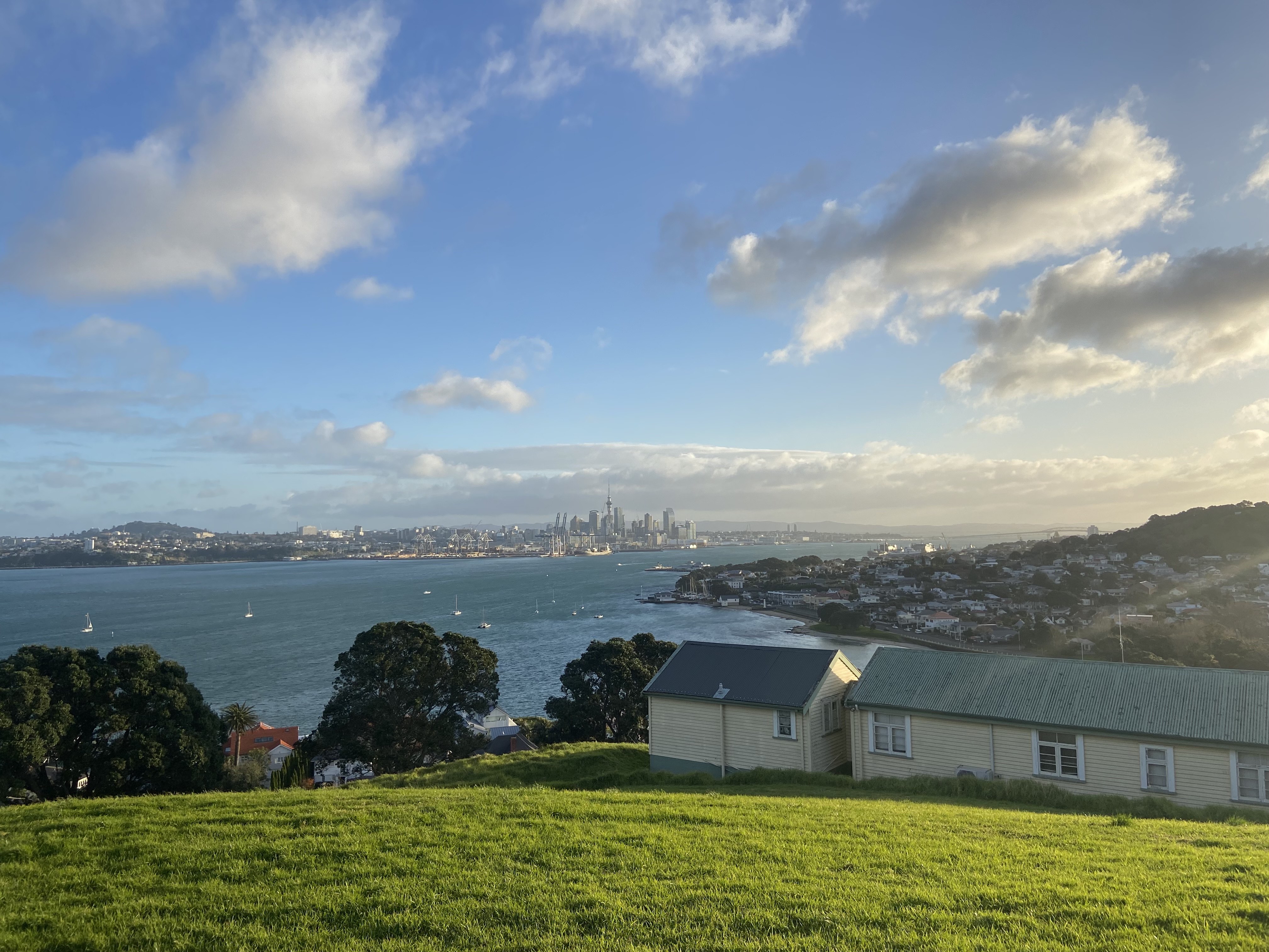 A view from Auckland