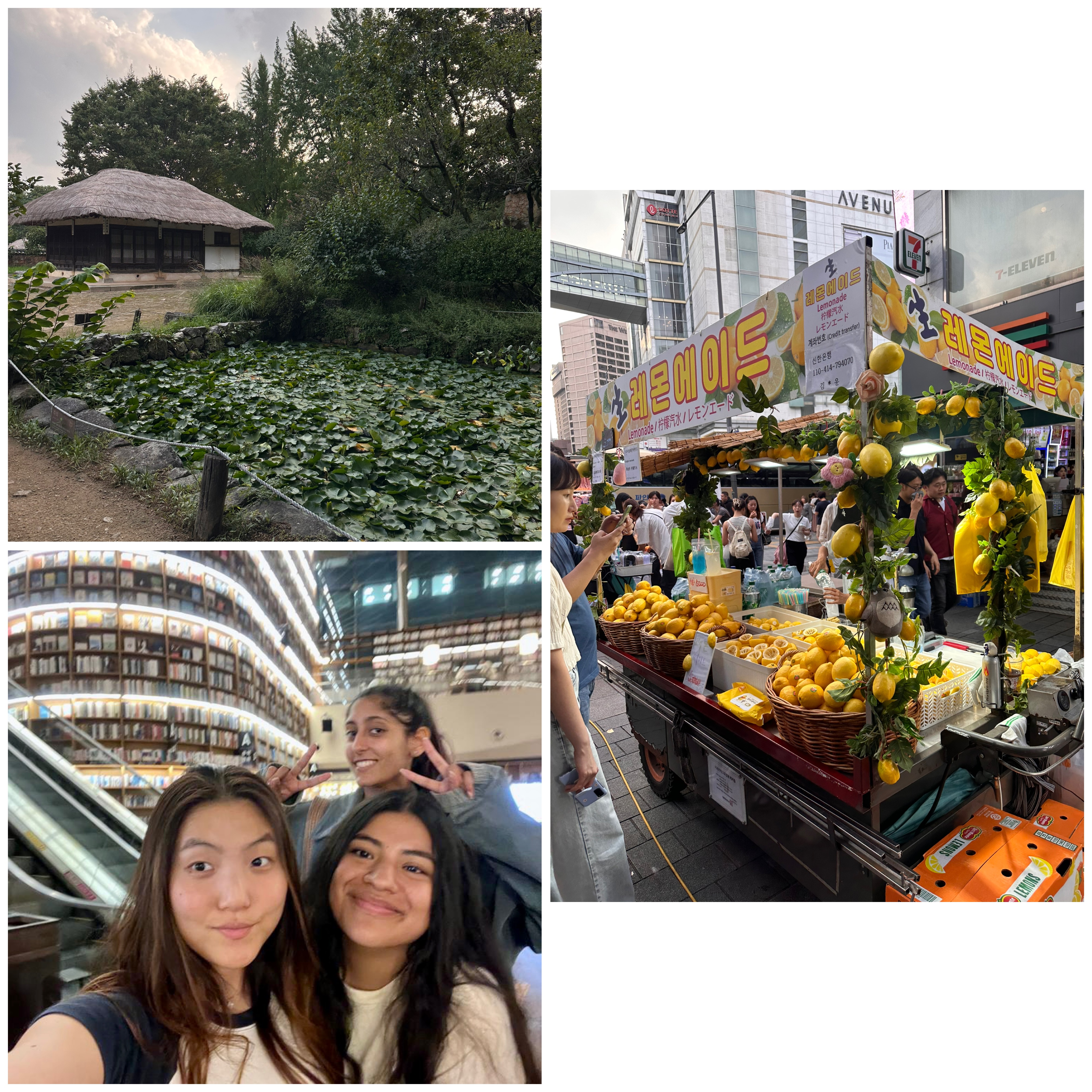 Photo collage showing Jasmine Hernandez with two friends, a Korean garden, and market stall selling fresh lemons