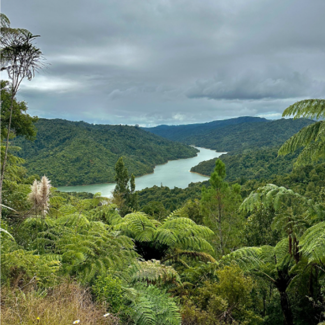 Hiking in Coromandel peninsula, New Zealand Hiking in Coromandel peninsula, New Zealand