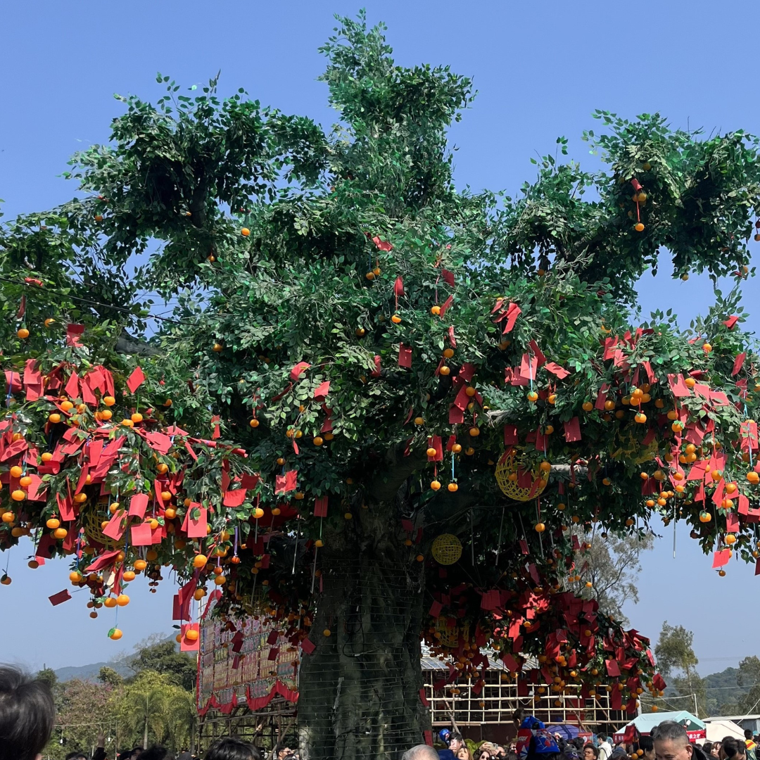The Wishing Tree in Tin Hau