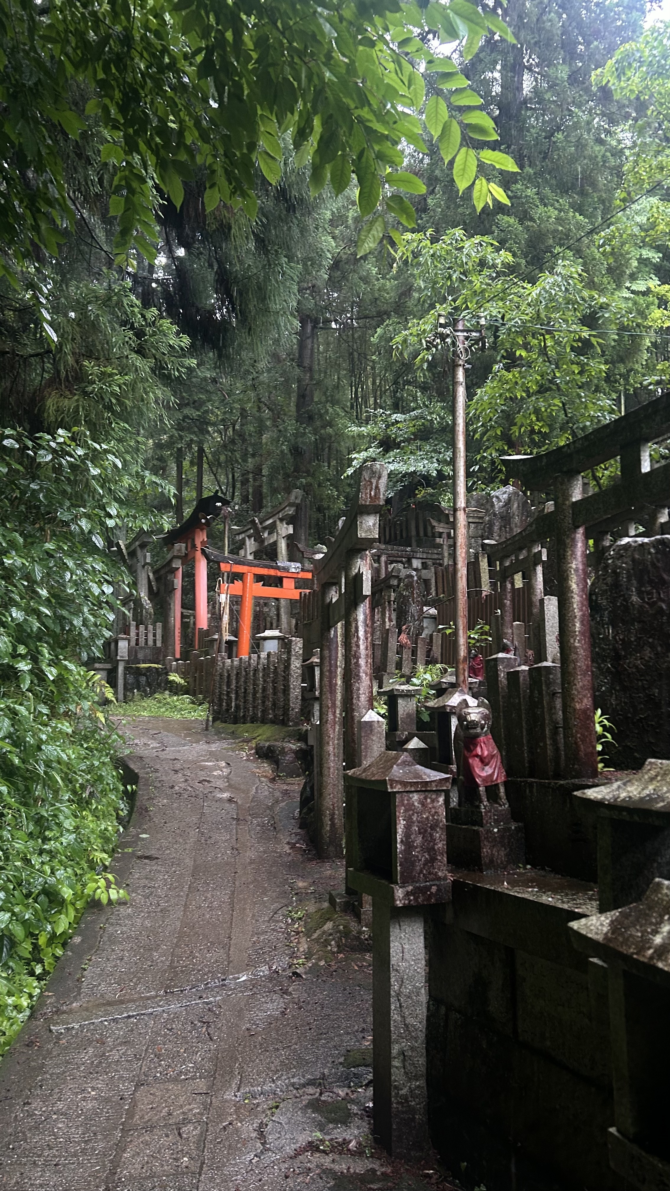 pathway near old shrine