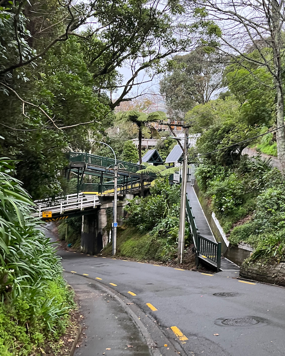 view of the road the student walks