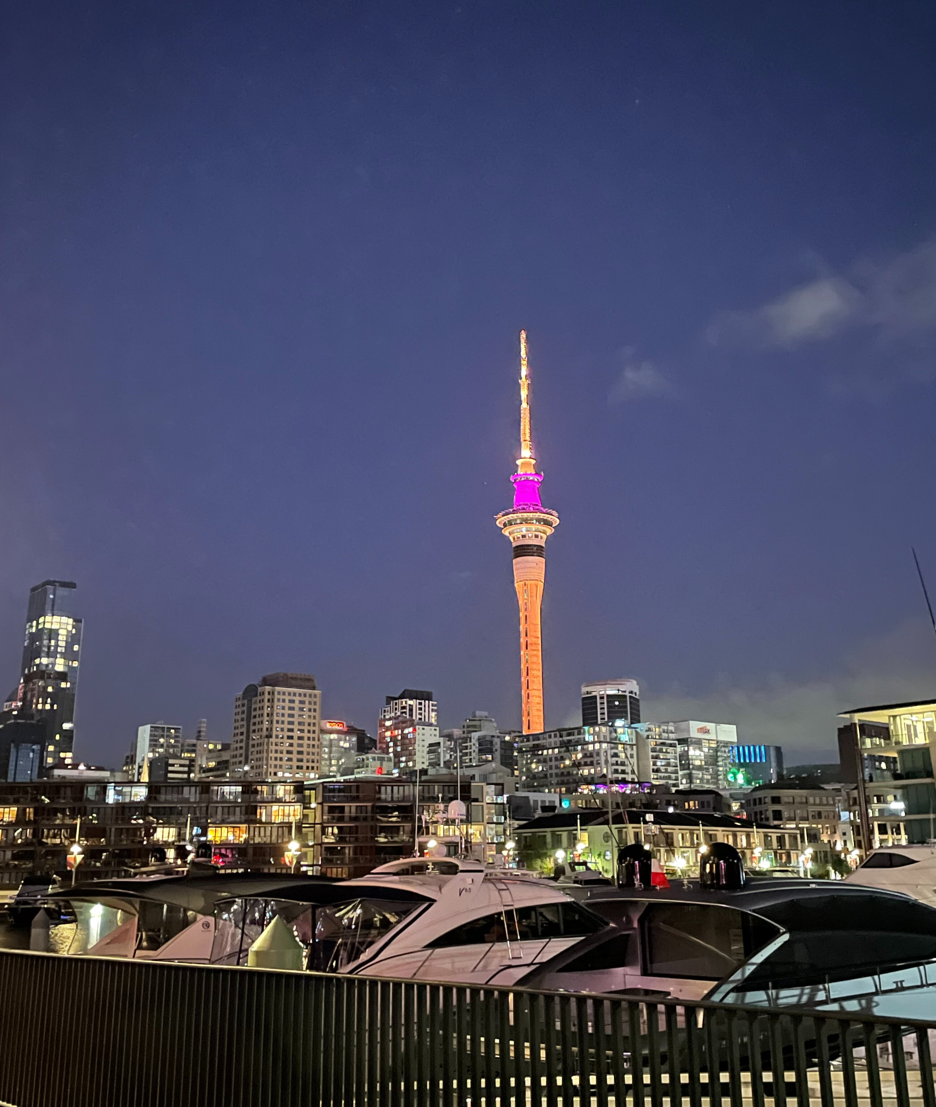 skyline view of Auckland at night
