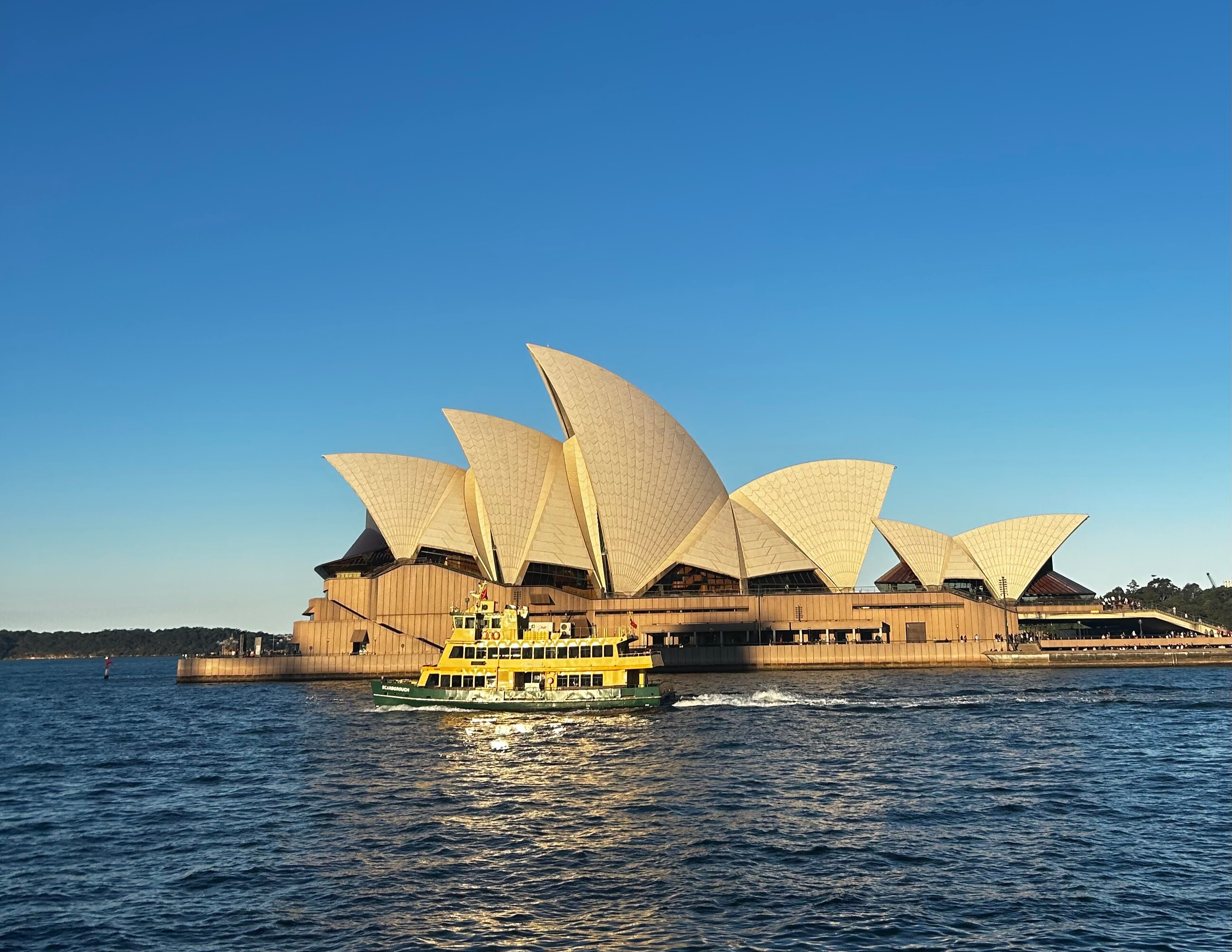 view of the Sydney Opera House
