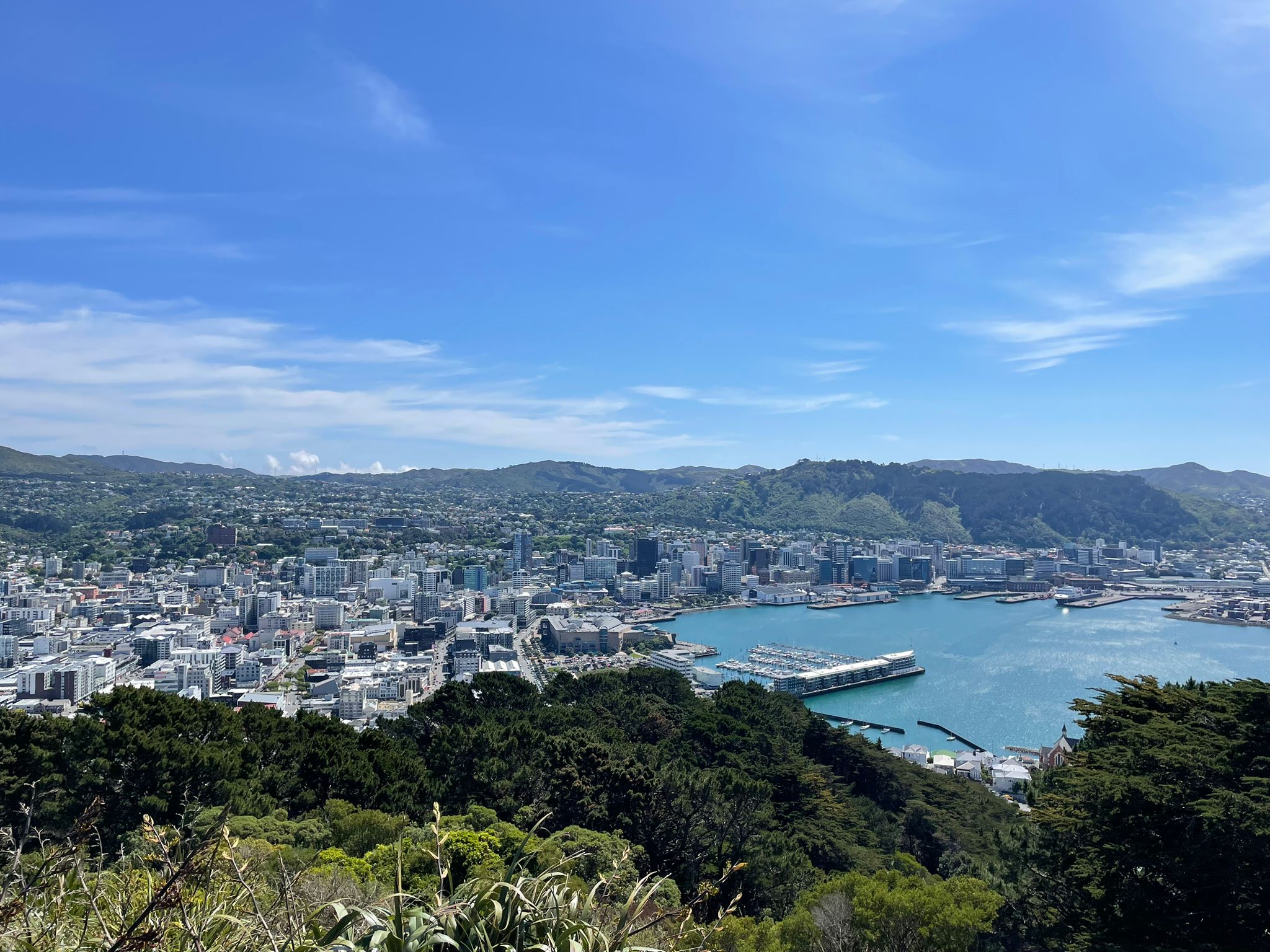 view of student's roadtrip through New Zealand