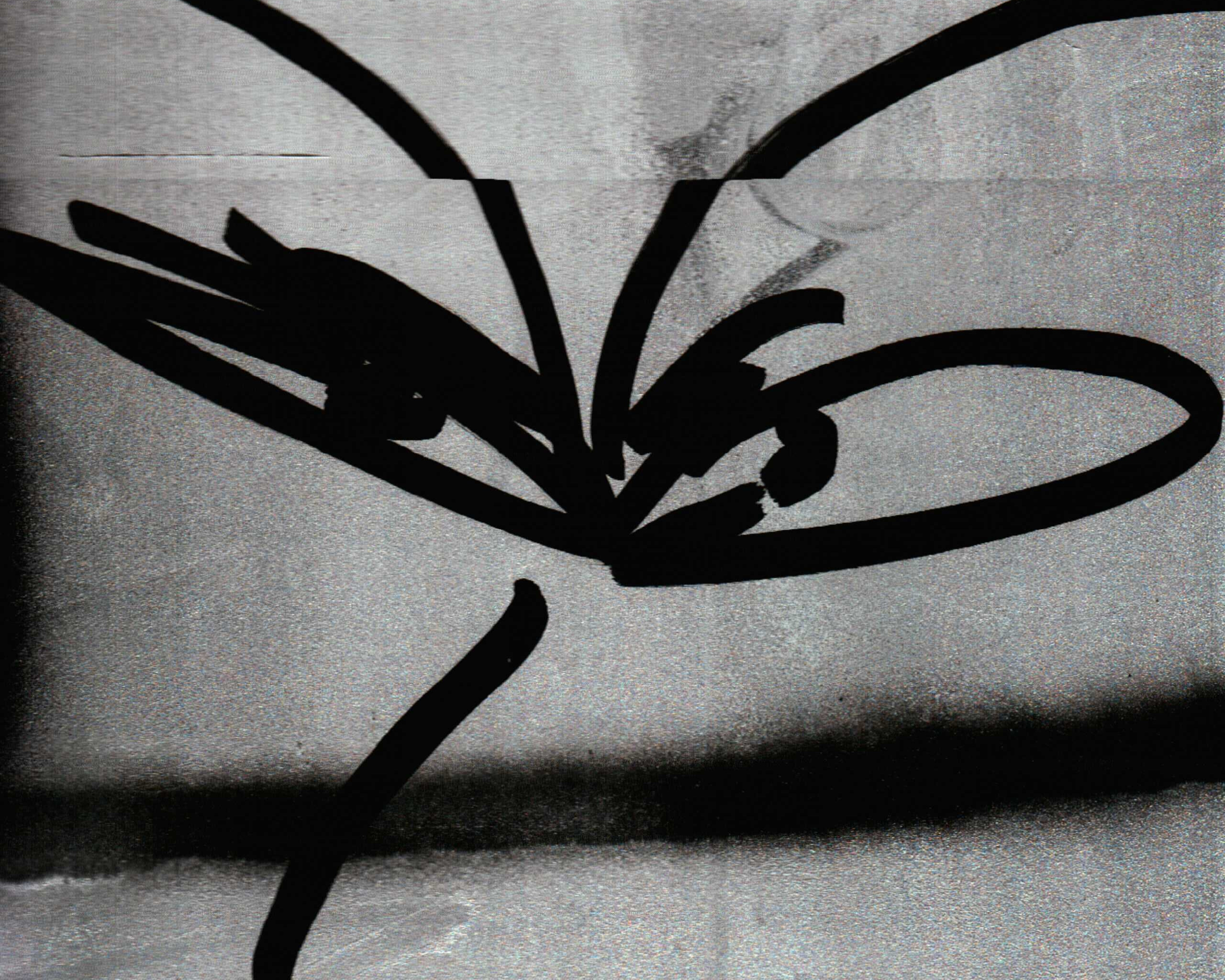 student took a picture of graffiti and street are while in Japan