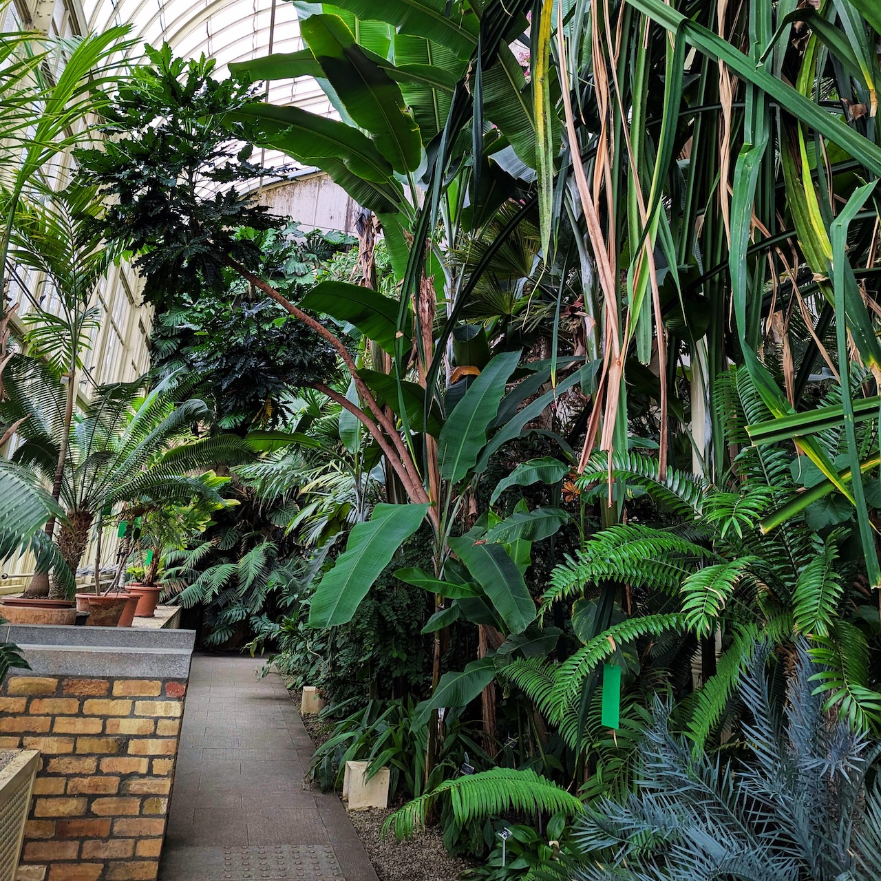 student exploring the National Botanic Gardens