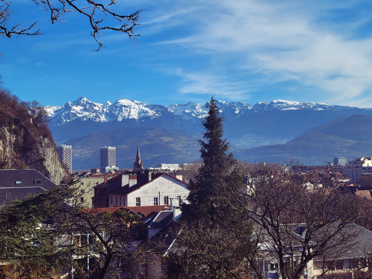 view of the tree line and Dauphine Alps in France
