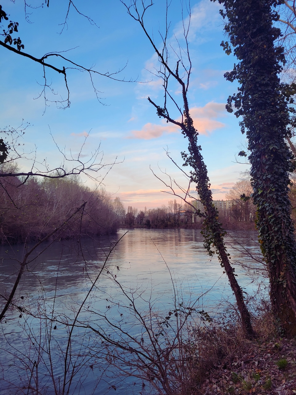 view of a lake near sunset