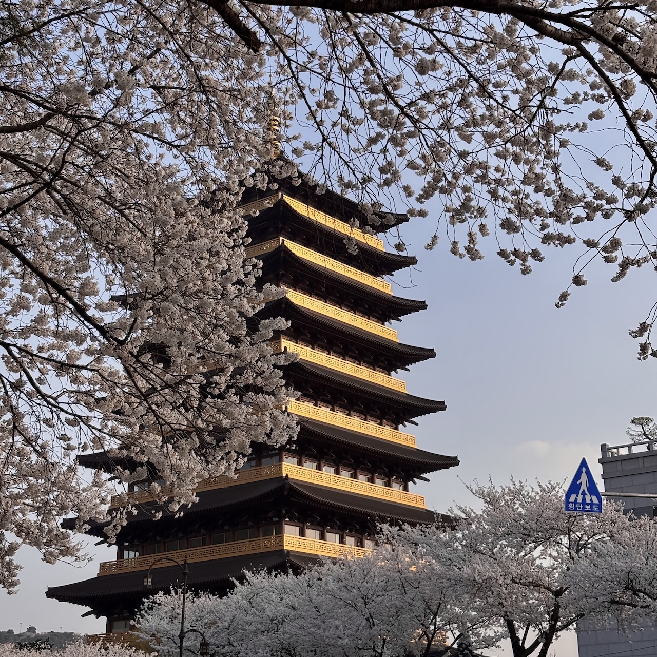 view of Gyeongju