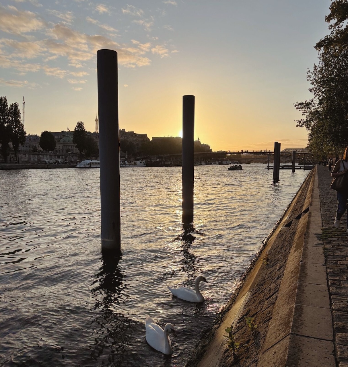 sunset picture of the Seine in Paris