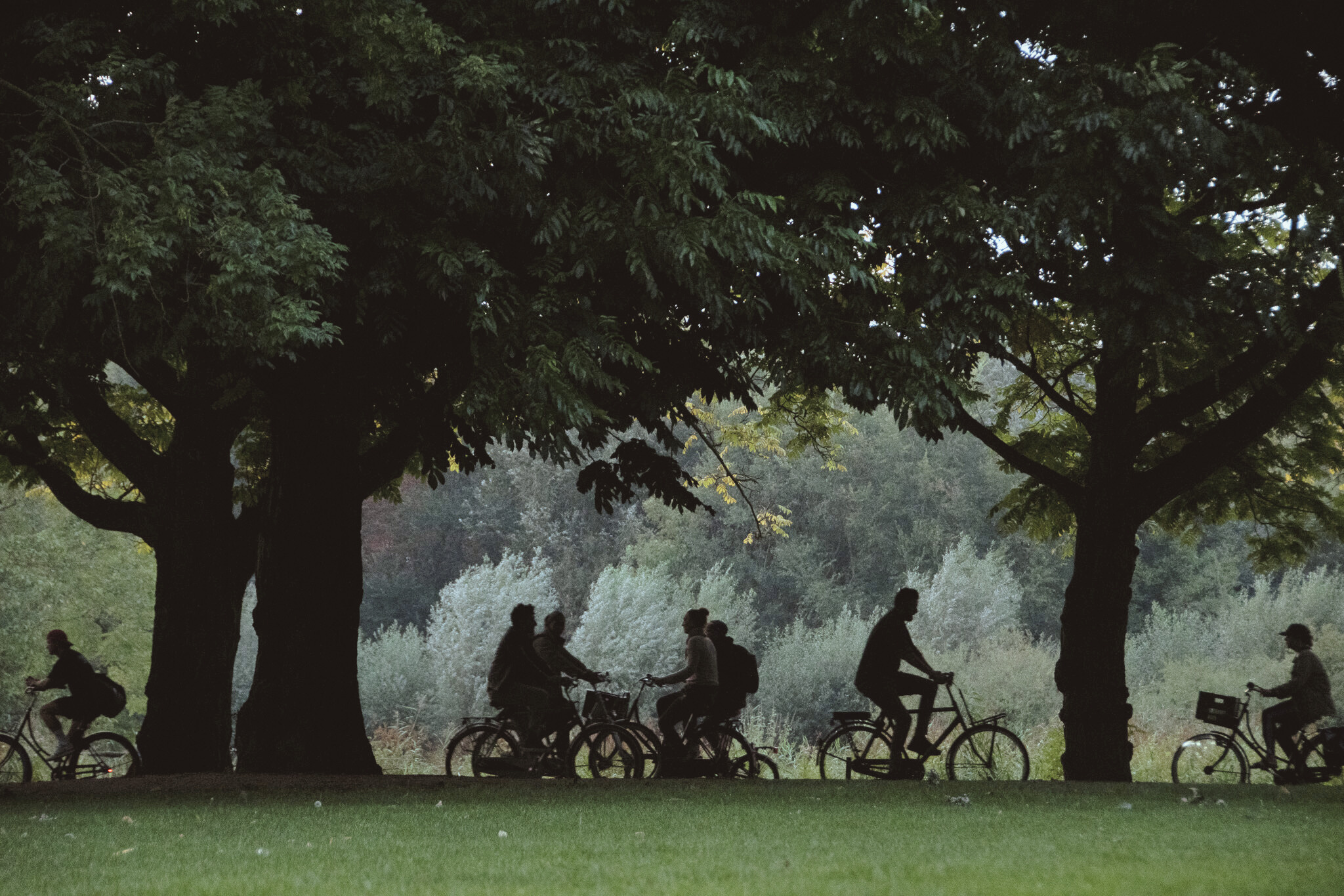 picture of cyclists going about their daily commute in the bike path
