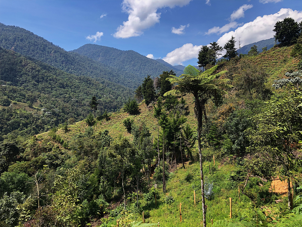 A mountainous, green landscape in Colombia.