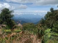 A view from the Singapore Coast to Coast Trail