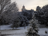 Romi Zebian's Photo in Ifrane, Morocco