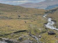 Scottish Highlands