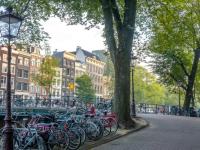 Bikes line a sidewalk in a Dutch city. Row homes and trees are seen in the background