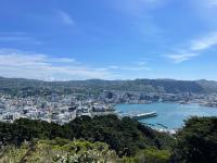 view of student's roadtrip through New Zealand