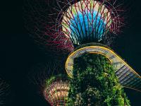 Gardens by the Bay