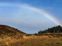 landscape view with a rainbow in the sky