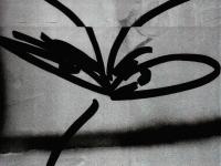 student took a picture of graffiti and street are while in Japan