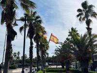 view of the Spanish flag with palm trees