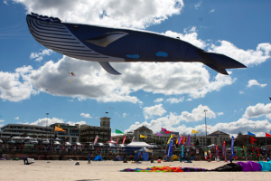 Festival of the Winds, Australia