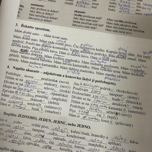 Josh's Czech homework