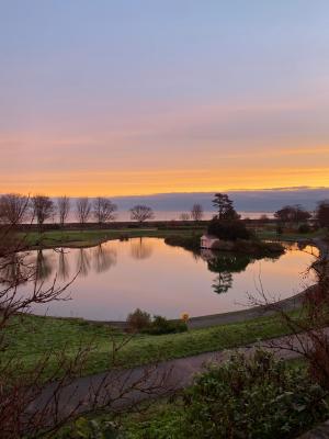 view of a lake near sunset