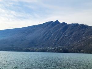 view of Lake Bourget and town