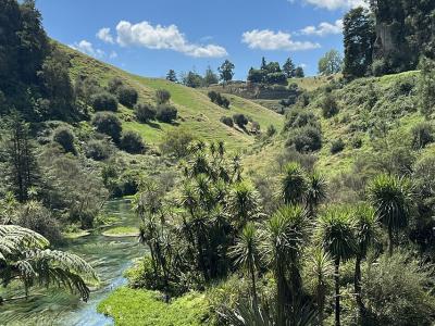 A beautiful view of a valley in New Zealand