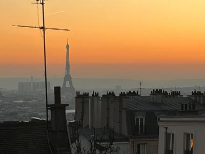 Sunset in Paris