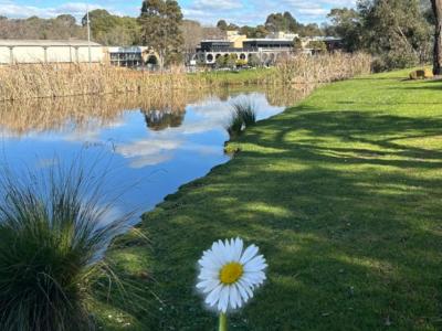 A view from the campus of Deakin University