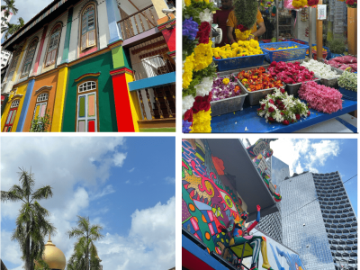 Diverse neighborhoods in Singapore