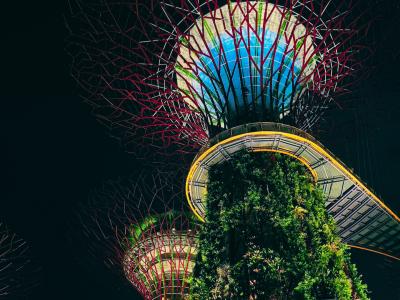 Gardens by the Bay