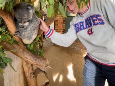 student petting a koala that is hanging on a tree