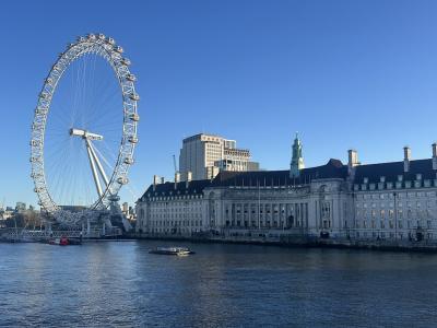 view of The London Eye on the south bank of the Thames River