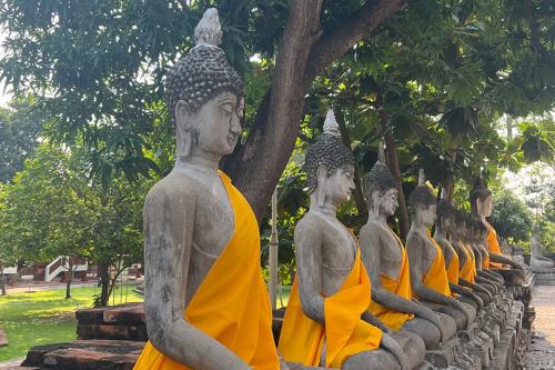 Statues of Buddha along the Ayutthaya rivers