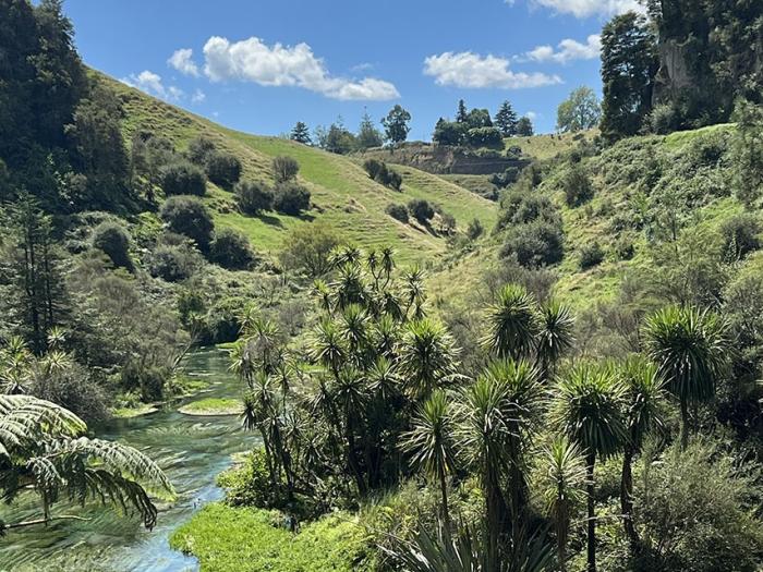 A beautiful view of a valley in New Zealand