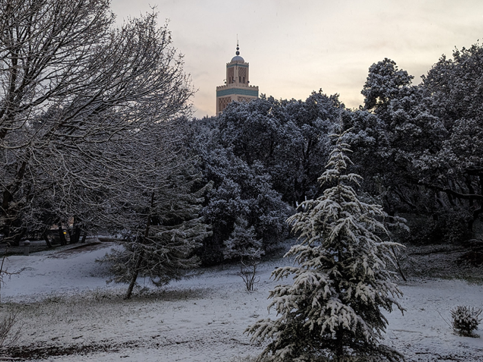 Romi Zebian's Photo in Ifrane, Morocco