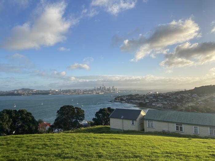A view from Auckland